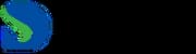 Shanghai Shenda S.A.