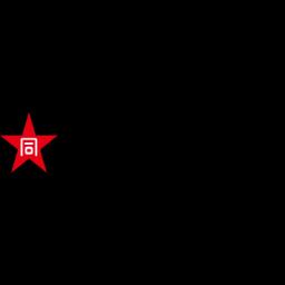 Daido Steel Co., Ltd.
