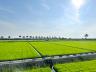 Agricultural Products