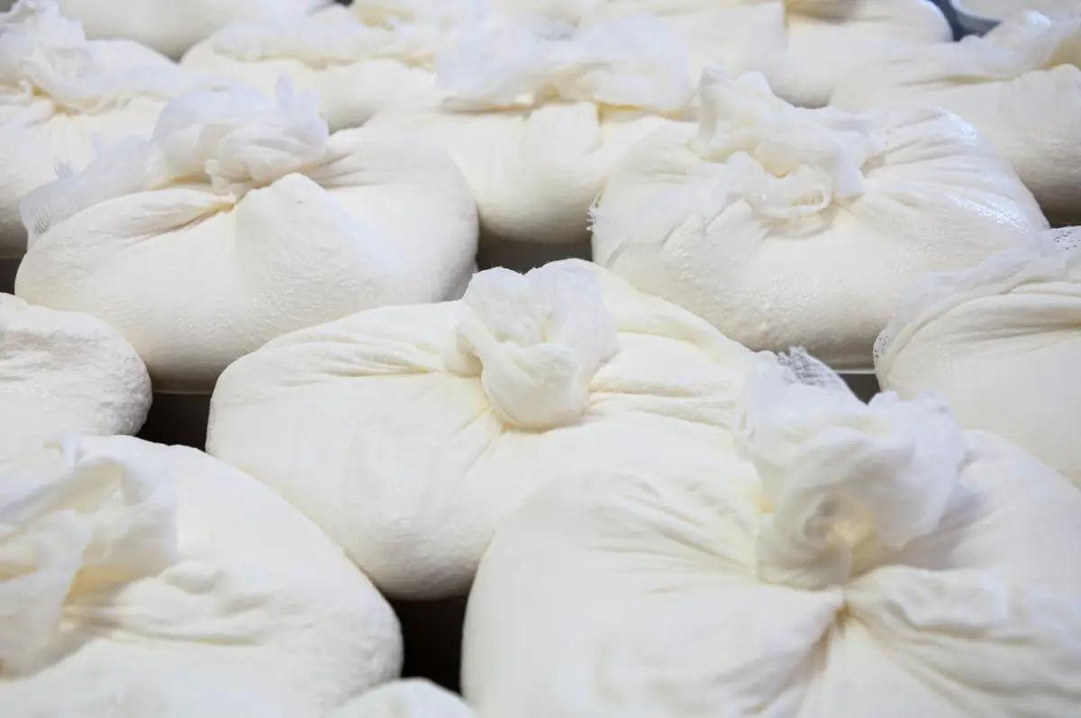 Fournisseurs d'ingrédients de boulangerie et de snacks prêts à consommer