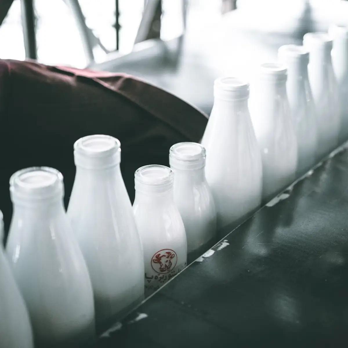 Fournisseurs de produits laitiers et d'œufs