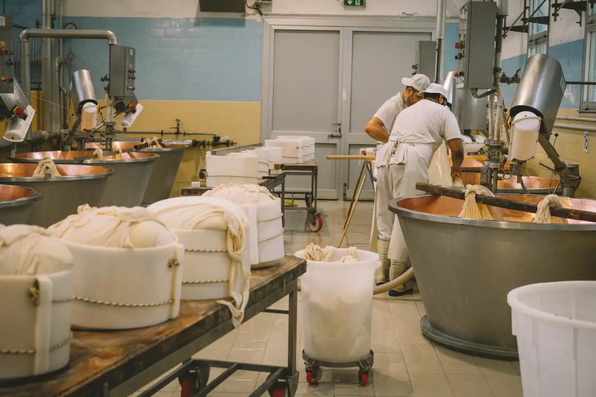 Fournisseurs d'ingrédients alimentaires